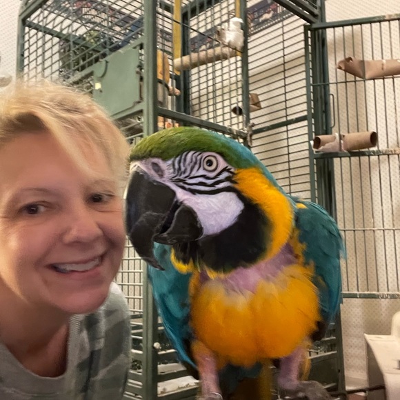 Hi! I’m Jen - Picture 12 of 14